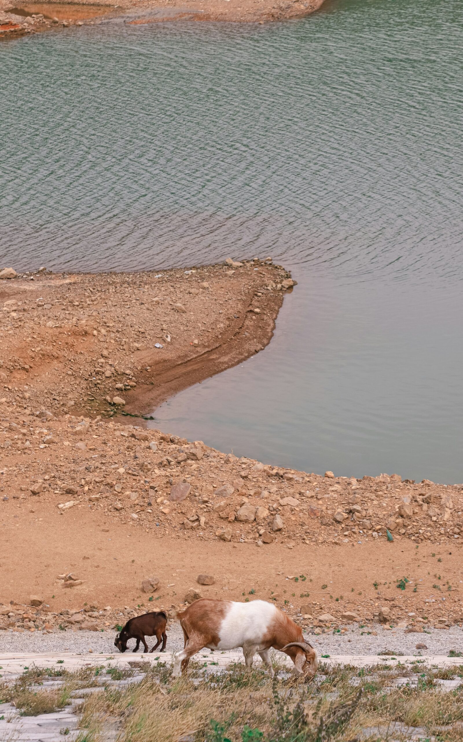 Sustainable Water Management Solutions for Drought-Prone Regions: Strategies, Innovations, and Actionable Steps