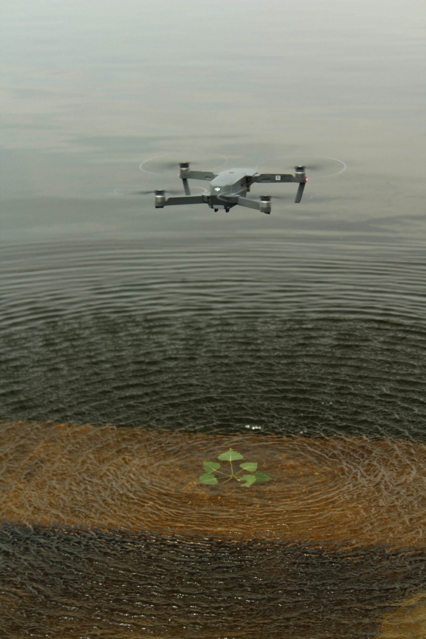 Transforming Disaster Management: The Impact and Implementation of Drones in Emergency Response