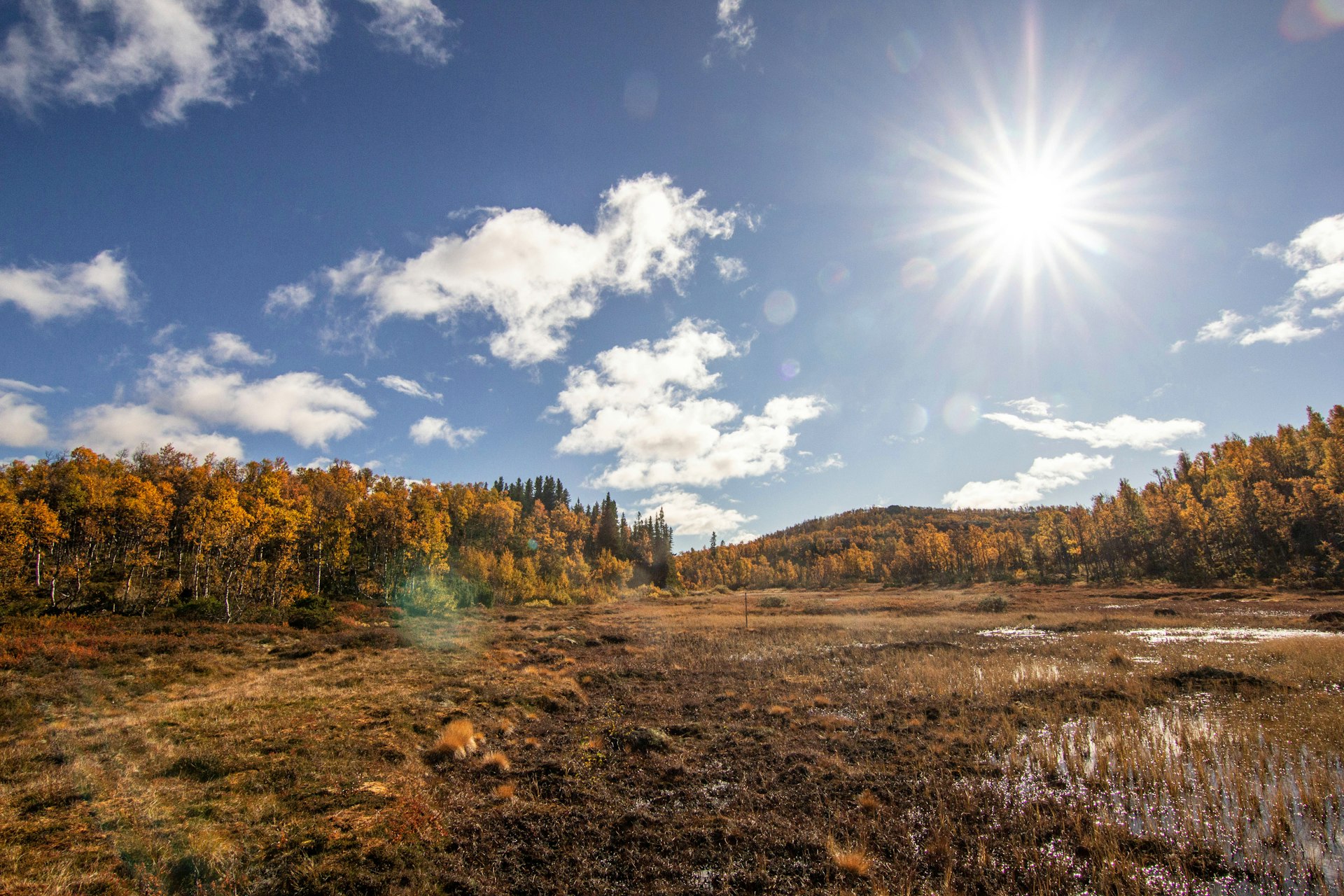 Transform Your Impact: Practical Steps to a Climate Conscious Lifestyle